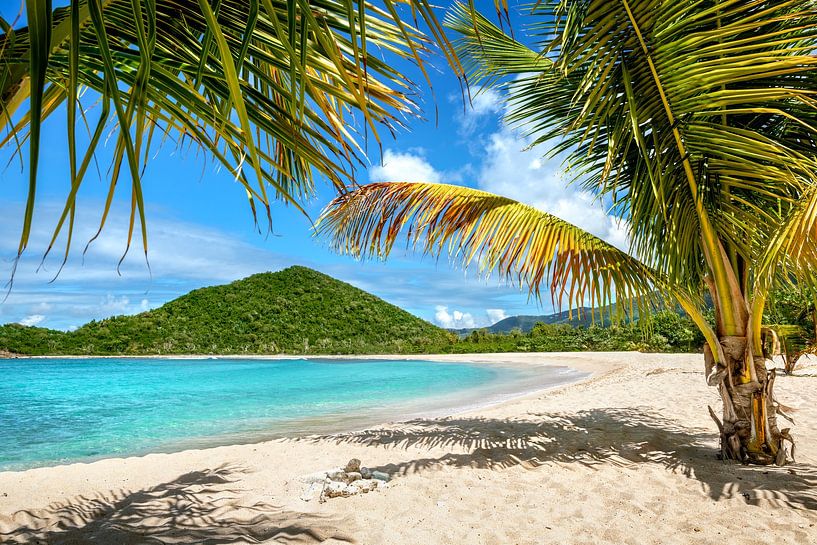 Tropen Karibik Strand von Voss Fine Art Fotografie