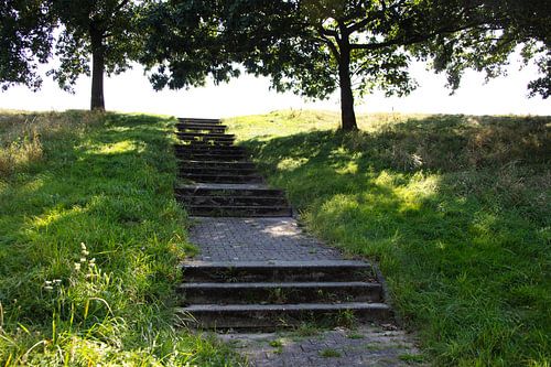 Ontdek de natuur in een bosrijk gebied in Emsland, Nedersaksen, Duitsland