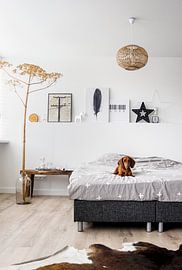 Prince Claus by Lynn van Woudenbergh