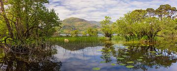 Killarney (Ireland) by Marcel Kerdijk