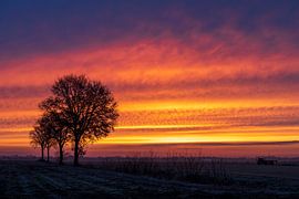 Sonnenaufgang in Emmen von Frank Laurens