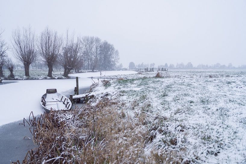 Winter in the Polder by Rossum-Fotografie