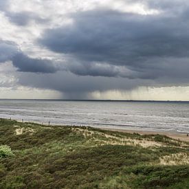 Dünen und Strand von Els Broers