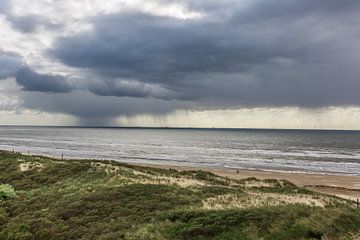 Dünen und Strand von Els Broers