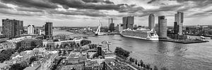 Harmony of the Seas in Rotterdam - Panorama - Zwart Wit van Sylvester Lobé