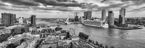 Harmony of the Seas in Rotterdam - Panorama - Black and White