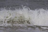 Brekende golven