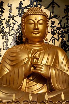 Gouden Boeddha van Roland Brack