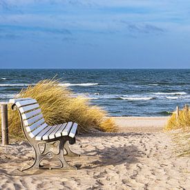 Beach with bench on the coast of the Baltic Sea in Graal Müritz by Rico Ködder