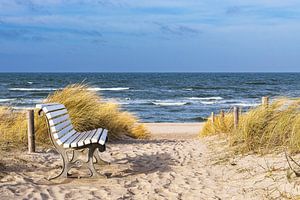 Strand met bankje aan de kust van de Oostzee in Graal Müritz van Rico Ködder