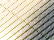 Zonnepark met zonnepanelen die schone elektriciteit produceren van Sjoerd van der Wal Fotografie thumbnail