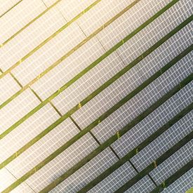 Zonnepark met zonnepanelen die schone elektriciteit produceren van Sjoerd van der Wal