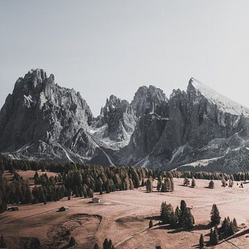 Vue sur l'Alpe de Siusi sur Fabiroams