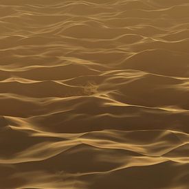 Panoramic view of vast sand dunes in dramatic light by Besart Beluli