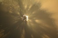 Mistig