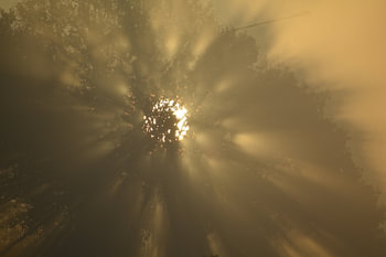 Mistig