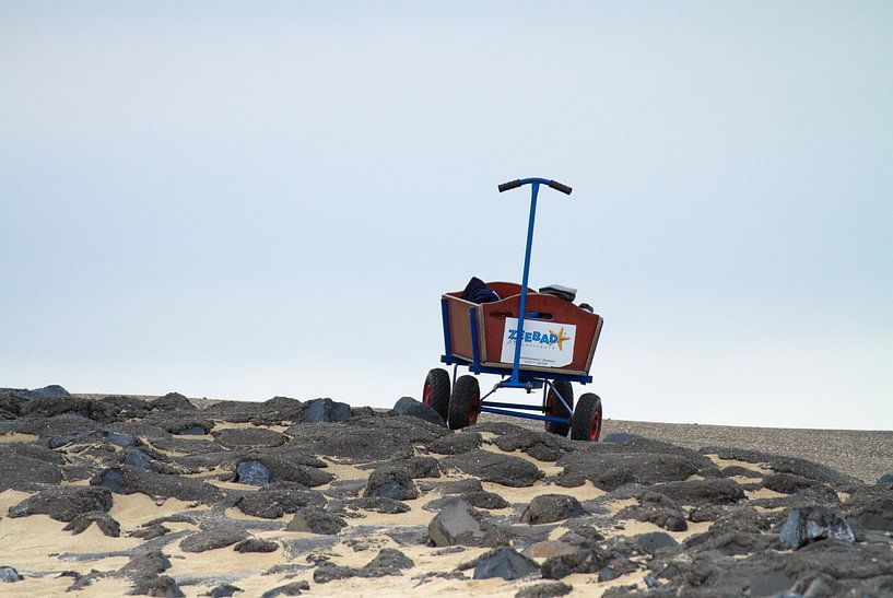 Le chariot par Hetwie van der Putten
