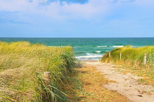 Op het Oostzeestrand met duinen