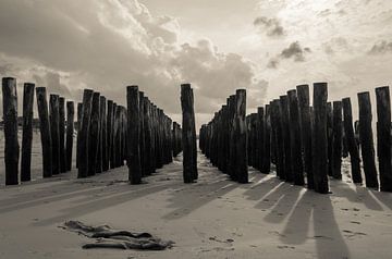 Heads of poles on the beach by Marian Sintemaartensdijk