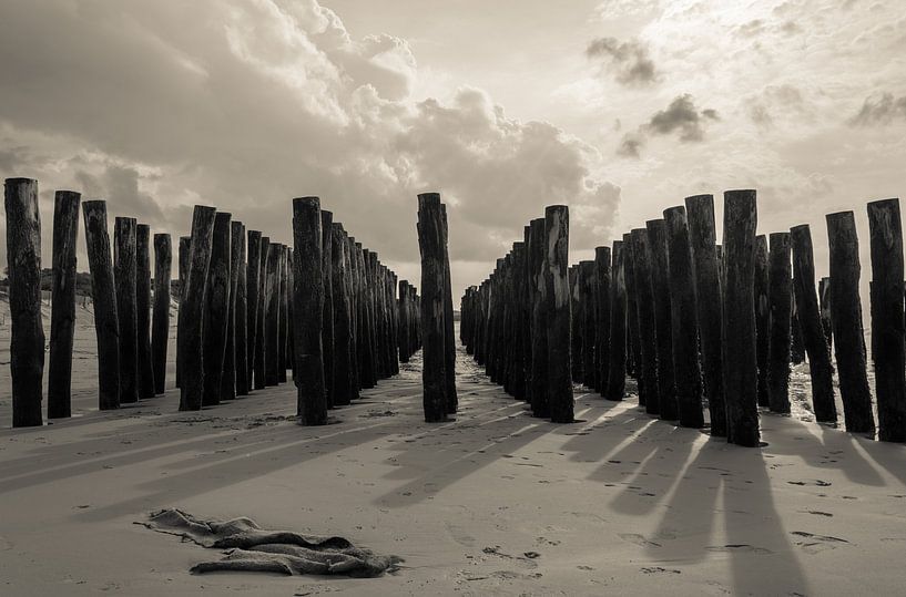 Têtes de poteaux sur la plage par Marian Sintemaartensdijk