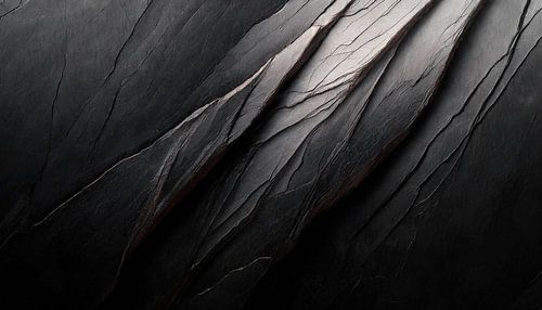 Schilderen met zwart en wit