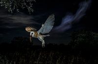 Nightly ghost