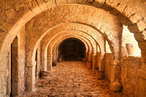 See-through still life