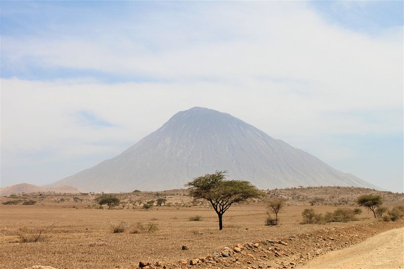 Tanzanie par Roger Hagelstein