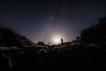 Silhouettes canadiennes sur Wilderlicht