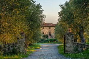 Podere Toscaberna in Seggiano Tuscany