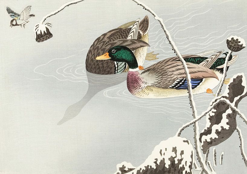 Ente verrät ihr Versteck von Moonheart Artworks