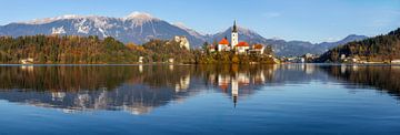 Le lac de Bled avec l'église de pèlerinage sur Daniela Beyer