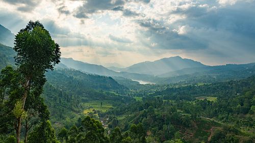 Het Ontwaken van Ceylon van Lex van Doorn