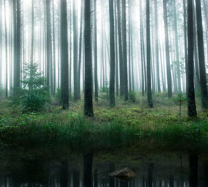 Lake in forest, Christian Lindsten by 1x