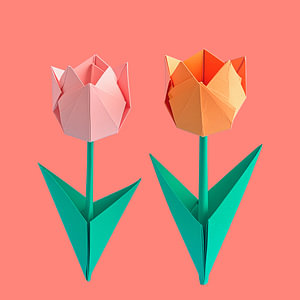 Origami - Minimalistisch, zwei abstrakte Tulpen