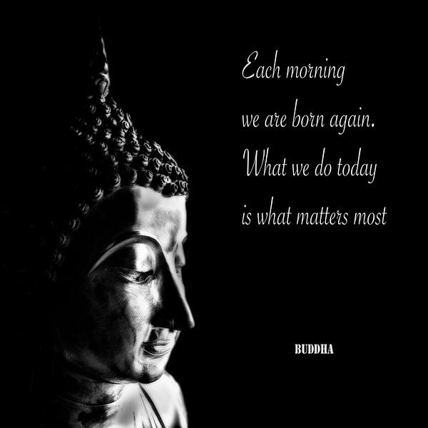 Buddha by Anouschka Hendriks