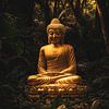 Bouddha d'or dans sa forêt sur Vlindertuin-Art