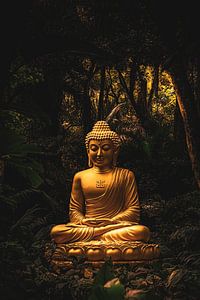 Goldener Buddha in ihrem Wald