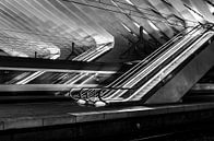 Escalator Z/W Station Luik-Guillemins von Photography by Karim Miniaturansicht