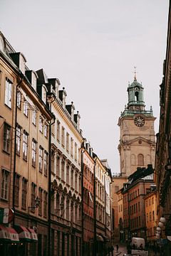 Stockholm city in autumn by sonja koning