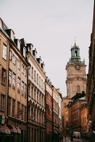 Stockholm city in autumn