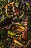 Old car in nature