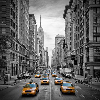 5th Avenue NYC Traffic II
