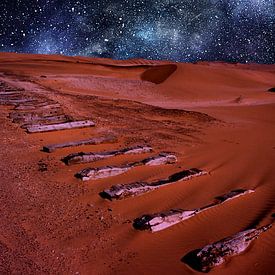 Eisenbahnschwellen in der Wüste Namibias von images4nature by Eckart Mayer Photography