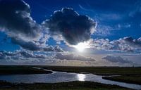 Uitzicht over een Nederlands polder van Anita van Gendt thumbnail