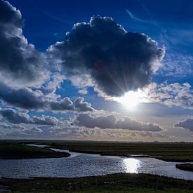 Uitzicht over een Nederlands polder van Anita van Gendt