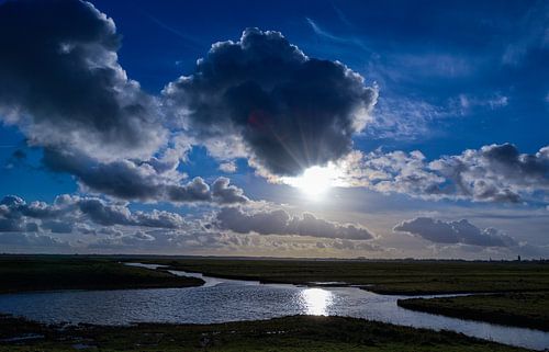 Vue du polder néerlandais sur Anita van Gendt