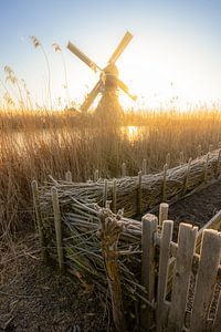 Sonnenaufgang über einer klassischen niederländischen Landschaft
