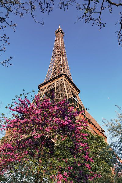 Retro Eiffelturm von Dennis van de Water