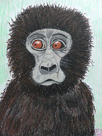 aap oliekrijt